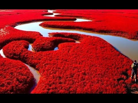 الشاطئ الأحمر 