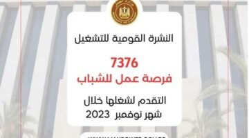 نشرة توظيف وزارة العمل فى 75 شركة و7376 فرصة عمل فى 15 محافظة