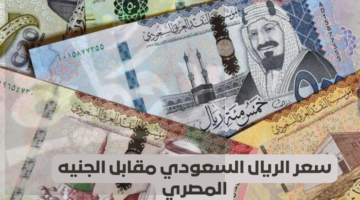 سعر الريال السعودي أمام الجنيه المصري اليوم الثلاثاء 5 مارس 2024